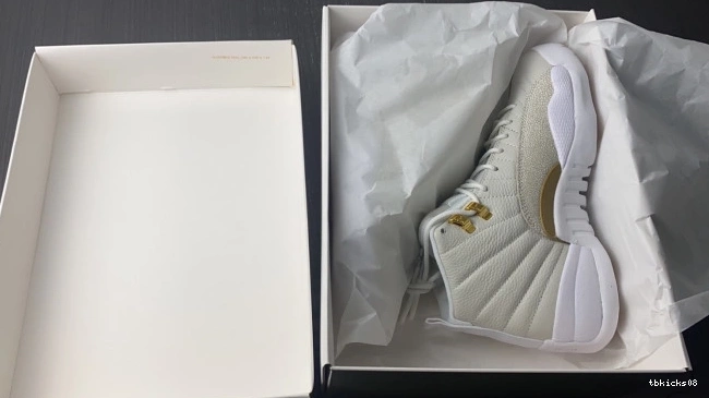 Rep TBkick Jordan White 873864-102 Retro OVO 12 0717